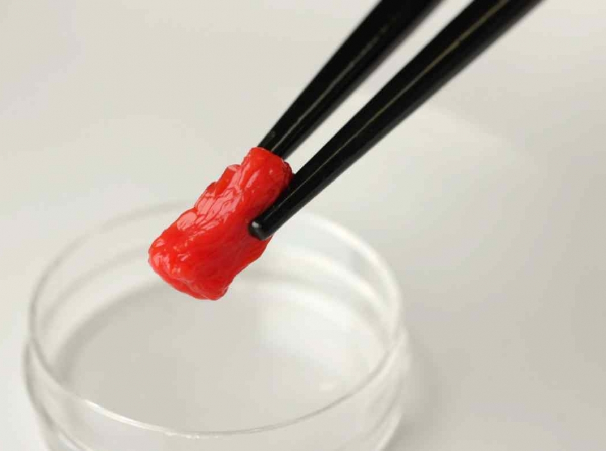 Carne sintética construida por investigadores japoneses