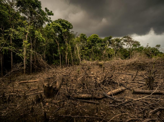 La catástrofe ecológica. Desaliento y perspectiva