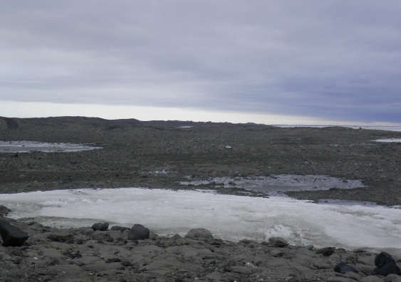 Adams Flat, una de las áreas donde se tomaron muestras Adams Flat, una de las áreas donde se tomaron muestras