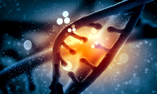 Representación de una hélice de ADN Representación de una hélice de ADN