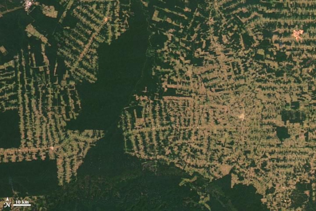 Deforestación de la Amazonia, imagen vía satélite Deforestación de la Amazonia, imagen vía satélite