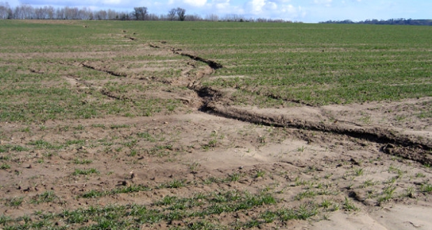 Ejemplo de erosión del suelo Ejemplo de erosión del suelo