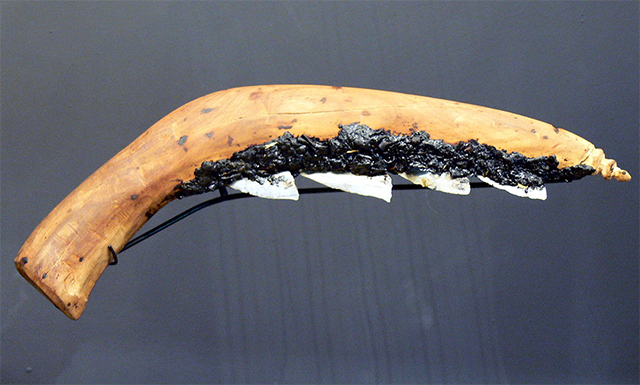 Hoz de madera del Neolítico, exhibida en el Museo Quintana de Deggendorf, Alemania hoz