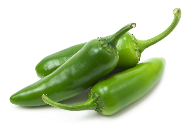 Jalapeños, uno de los chiles más conocidos en el mundo, célebres por su uso en la comida mexicana Jalapeños, uno de los chiles más conocidos en el mundo, célebres por su uso en la comida mexicana