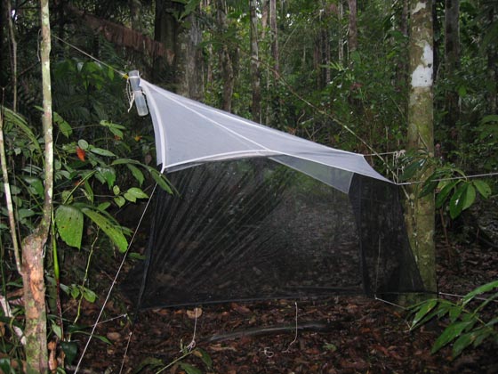 Trampa para insectos tipo Malaise Trampa para insectos tipo Malaise