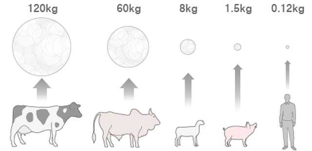 Emisiones de metano por animal por año. NASA, Instituto Goddard Emisiones de metano por animal por año. NASA, Instituto Goddard