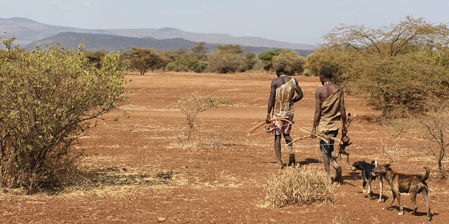 Dos cazadores Hadzabe cazando con sus perros Dos cazadores Hadzabe cazando con sus perros