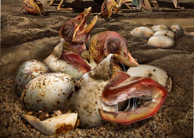 Crías de pterosaurio saliendo del huevo Crías de pterosaurio saliendo del huevo