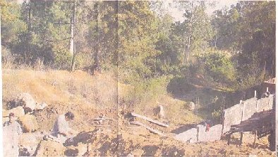 Tala de bosques en Pátzcuaro Tala inmoderada