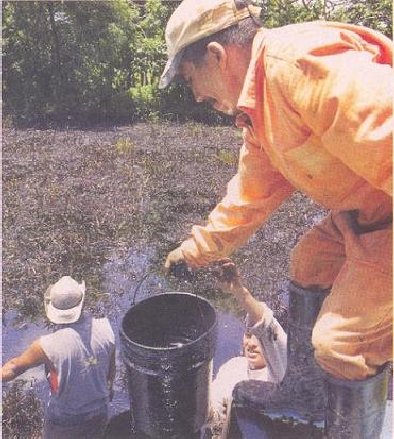 Los trabajadores limpian el derrame a mano Limpiando un derrame
