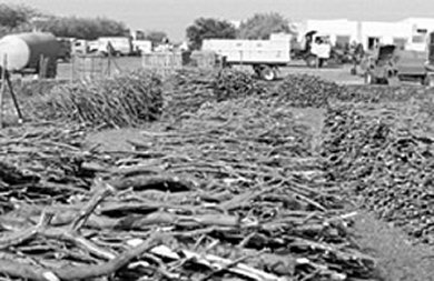 Mercado periurbano de leña en Cabo Verde Leña en venta