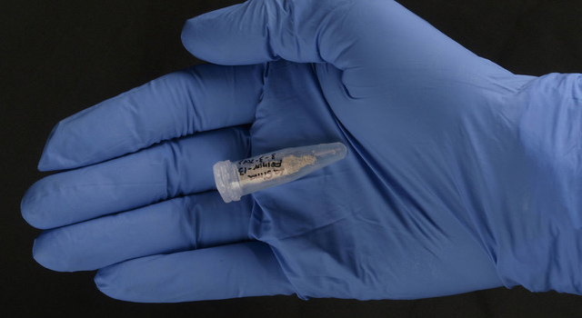 Polvo de hueso extraído de un fémur hallado en la Sima de los Huesos, Atapuerca. Data de hace 400 mil años y fue usado para secuenciar su genoma mitocondrial. (c) Javier Trueba / Madrid Scientific Films Polvo de hueso de Atapuerca