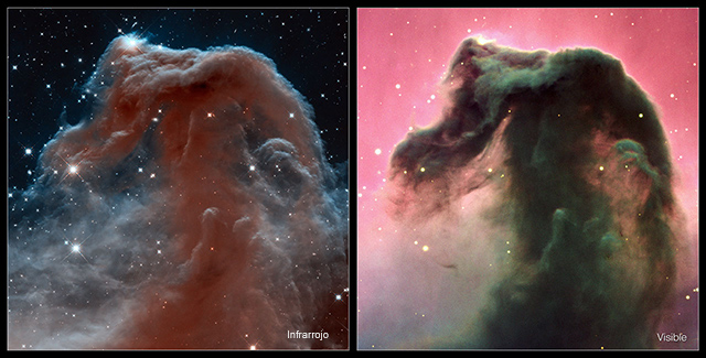 Comparación de la imagen de la nebulosa Cabeza de Caballo bajo los espectros de luz visible y el infrarrojo. Cabeza de Caballo infrarrojo