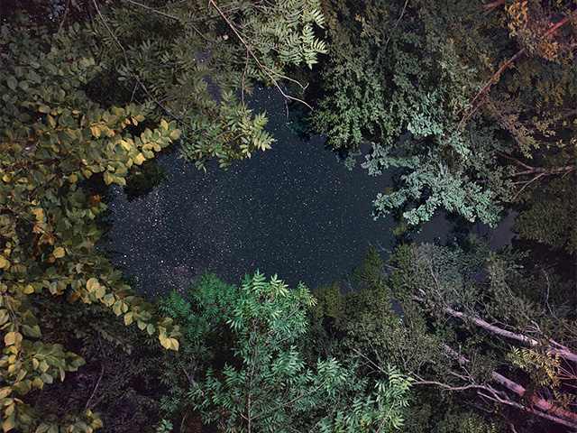 Holismo. BenoitP Árboles y Universo