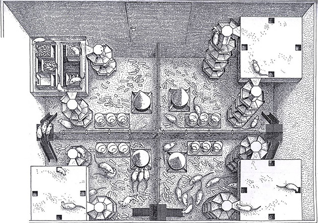 En este bosquejo de John Calhoun se aprecia el recinto de uno de sus universos de ratones Recinto de ratones, esquema