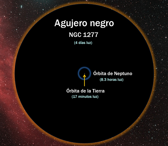 Diagrama del agujero negro supermasivo NGC 1277. Se comparan las órbitas de la Tierra y Neptuno con el horizonte de eventos del agujero negro. D. Benningfield/K. Gebhardt/StarDate Diagrama de agujero negro supermasivo NGC 1277