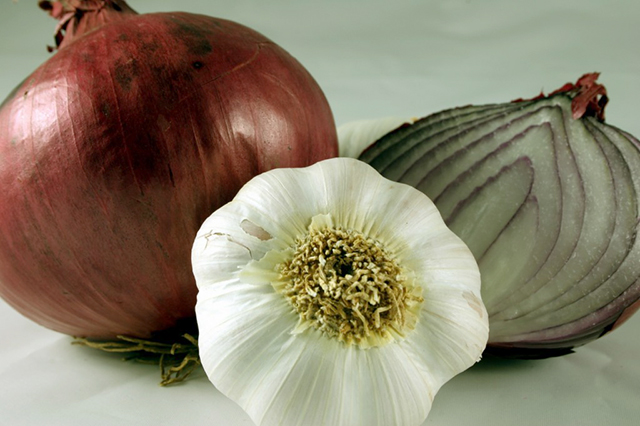 Ajo y cebolla, fuentes naturales de prebióticos que promueven el crecimiento de las poblaciones de bifidobacterias y lactobacilos en nuestro tracto gastrointestinal ajo y cebolla