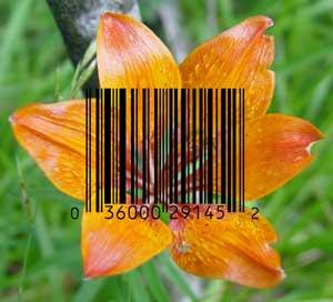 Código de barras para clasificar especies vegetales y animales Flor y código de barras