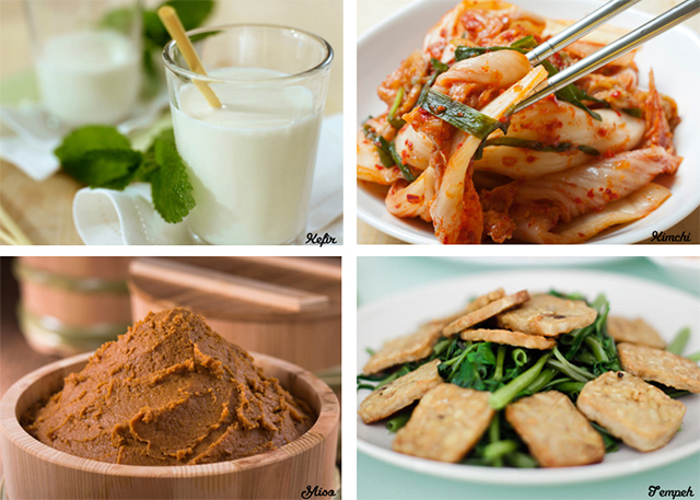 Alimentos fermentados. Kéfir, leche fermentada por lactobacilos y levaduras. Kimchi, col china fermentada mediante un lactobacilo. Miso, pasta de frijoles de soya fermentados. Tempeh, pastel de soya fermentada. comida fermentada