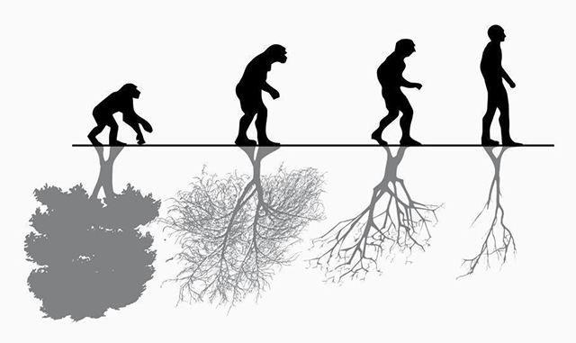 La evolución humana y el deterioro del ambiente han ido de la mano hasta ahora evolución y ambiente
