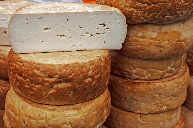 Se cree que la invención del queso fue accidental, producto de trasportar leche cruda en vejigas fabricadas con el estómago de rumiantes. Se ha encontrado evidencia de la elaboración de queso que se remonta a más de 8 mil años queso