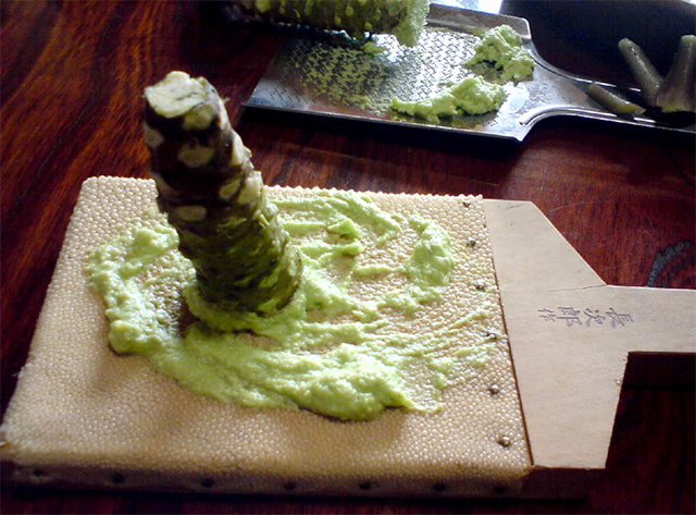 Rizoma de wasabi, que al comerse produce sensaciones de ardor y frescura al mismo tiempo. El 80% del wasabi se produce en la prefectura de Shizuoka, en Japón. (c) Robert Gilles wasabi