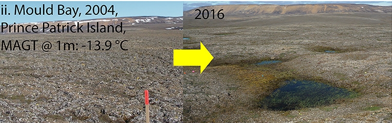 Ternokarst en la Isla Príncipe Patrick. 2004-2016 Ternokarst en la Isla Príncipe Patrick. 2004-2016