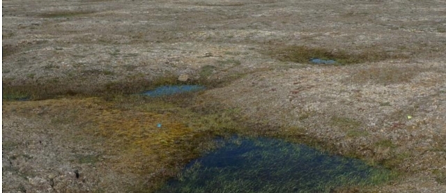 Ternokarst en la Isla Príncipe Patrick Ternokarst en la Isla Príncipe Patrick