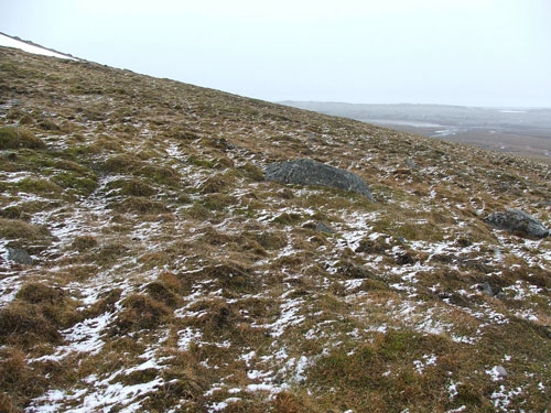 Tundra reverdeciendo Tundra reverdeciendo