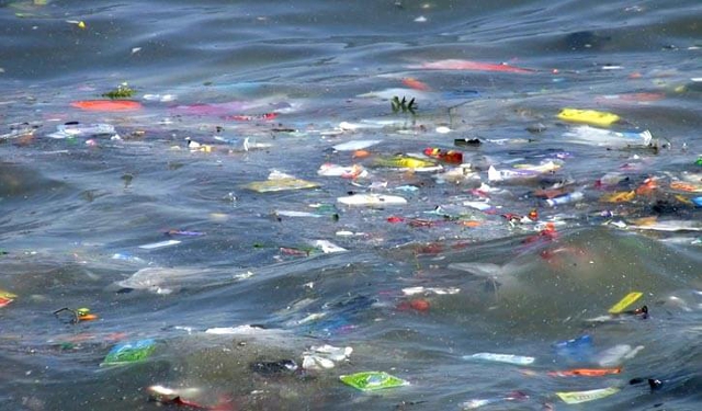 Contaminación del mar con plásticos