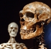 Los seres humanos y los neandertales en Europa