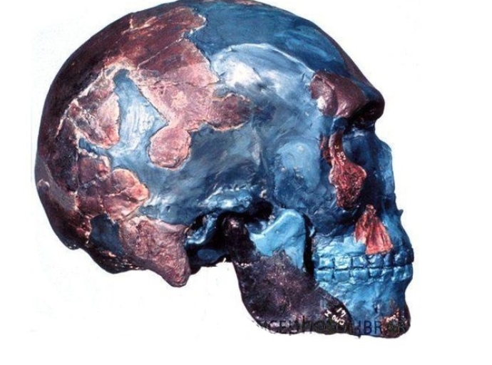 Restos de sapiens de hace 230 mil años