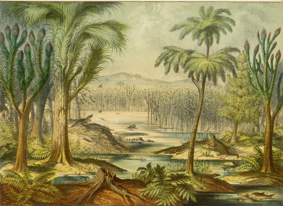 Durante el Carbonífero aparecieron las primeras selvas de la Tierra