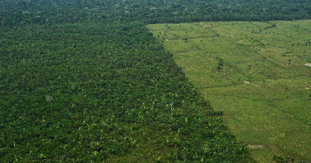 Deforestación masiva en la Amazonia Occidental de Brasil