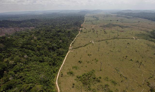 Deforestación de la Amazonia