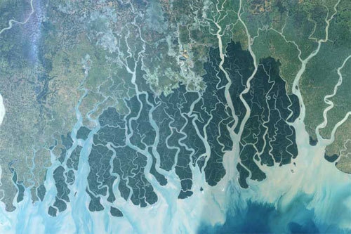 El delta del río Ganges en Bangladesh. La actividad humana está cambiando su salinidad, afectando la vida de millones de personas
