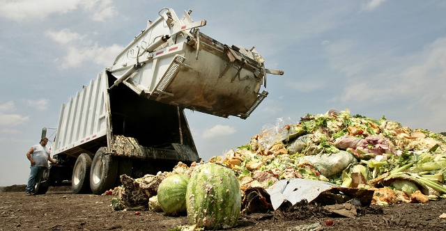 Una tercera parte de la comida producida en el mundo se tira a la basura