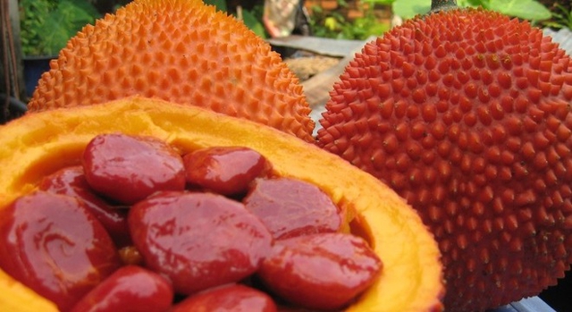Gac, fruta común en Vietnam que contiene betacarotenos