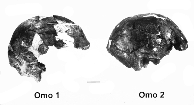 Omo 1 y Omo 2