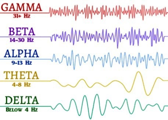 Tipos de ondas cerebrales