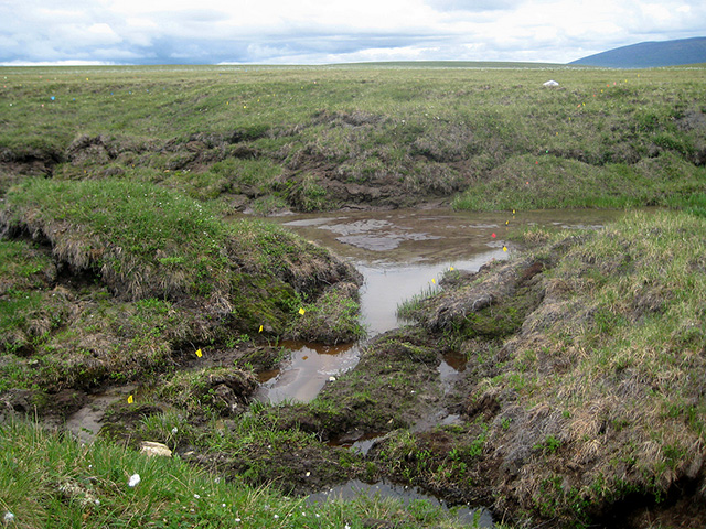 Permafrost descongelado Thermokarst