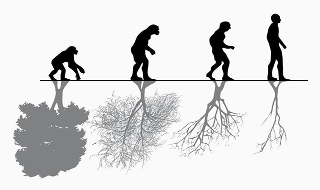 evolución y ambiente